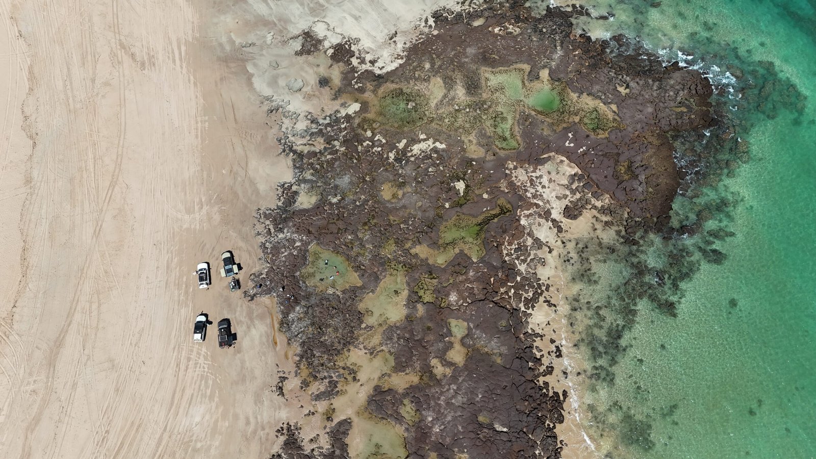 11 Day Pilbara & Kimberley - Pindan & Pincers - Image 23